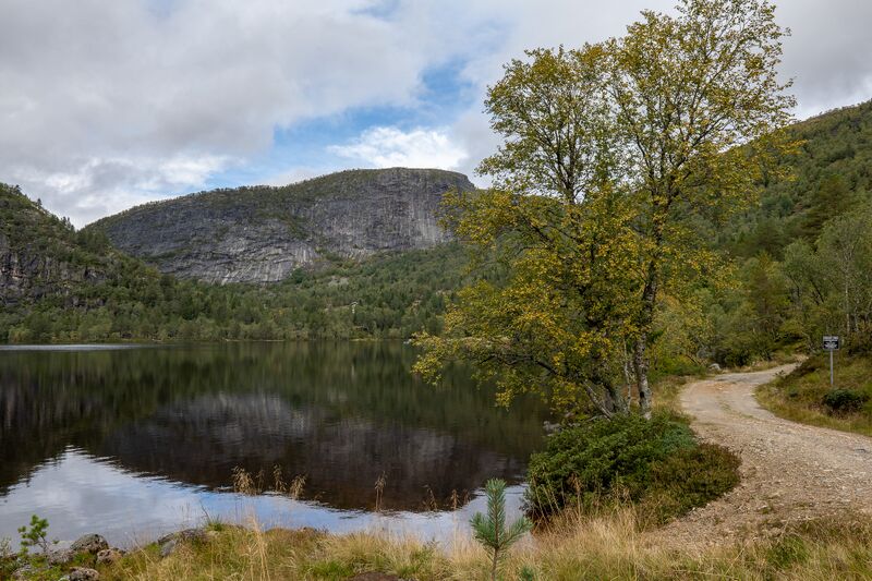 Fil:Laugardalstjønni Valle 120925.jpg