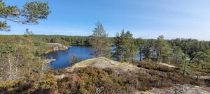 Pegmatitt rundt Ljosevatn