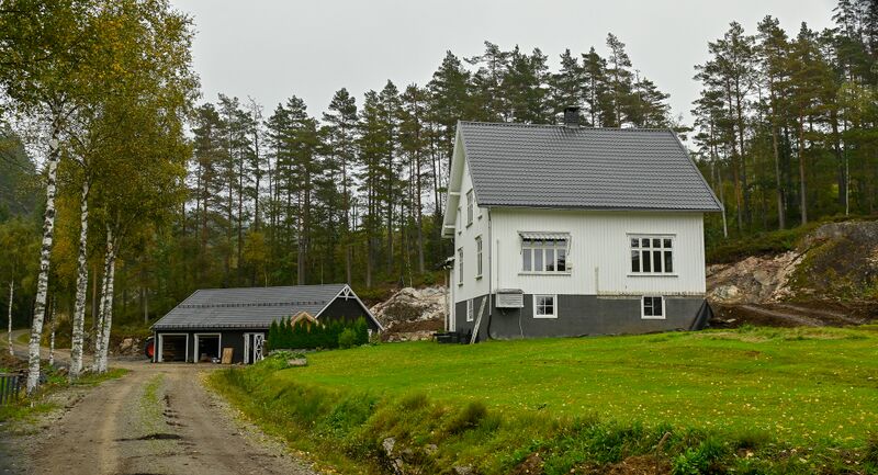 Fil:Skogvin Løland Iveland 100925.jpg