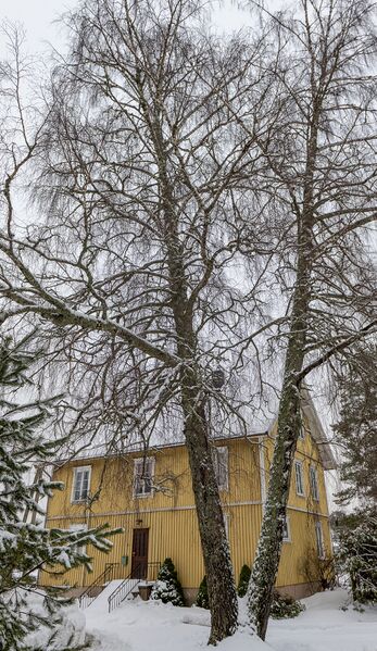 Fil:Fredstreet Fritun Dåsnes 180224.jpg