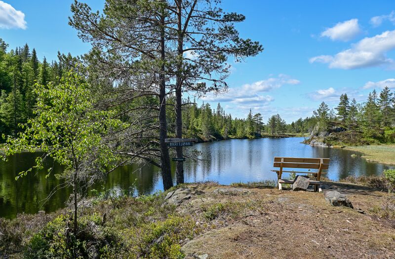 Fil:Bråttjønn Evje 040623-2.jpg