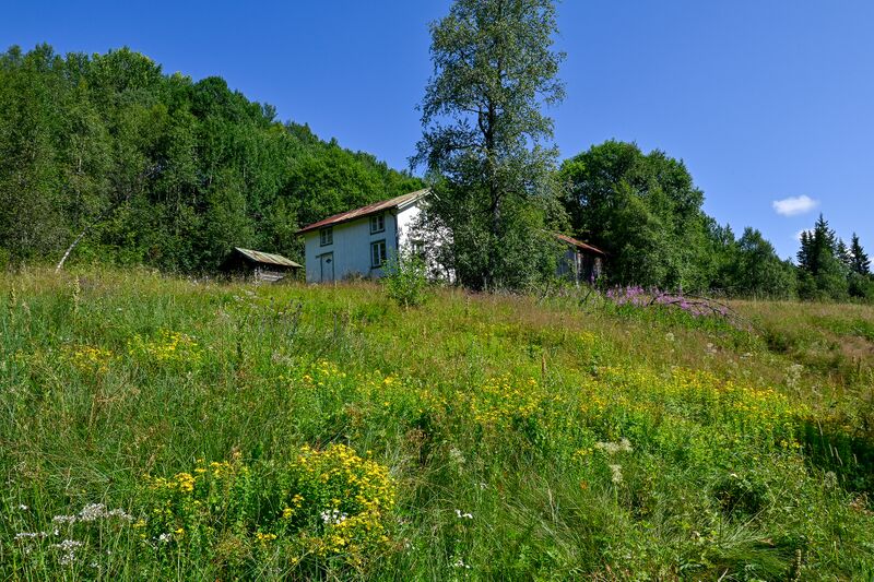 Fil:Haugebakk Bykle kyrkjebygd 250725.jpg