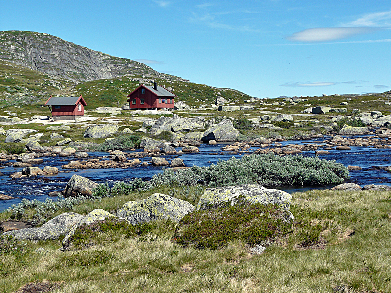 Fil:Svartenut oversikt 2010.jpg