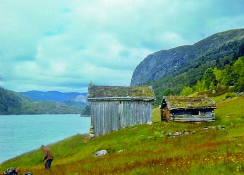 Fil:Nesland 2.jpg