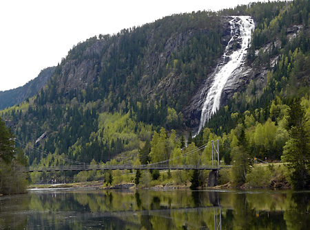 Fil:Ose bru 2013.jpg