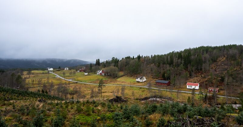 Fil:Abusland Hornnes 051125.jpg