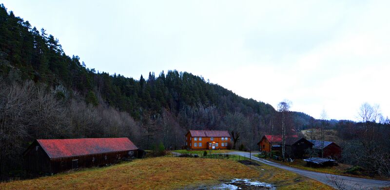 Fil:Solberg, Vestre Iveland 101215.JPG