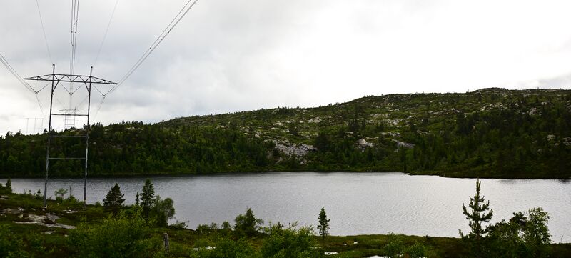 Fil:Grunnetjønn Bygland 250617.jpg