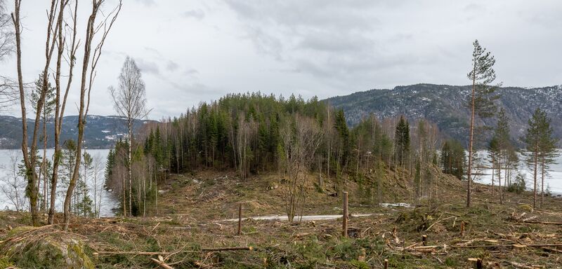 Fil:Eikjåknodden Bø 180424 (1).jpg
