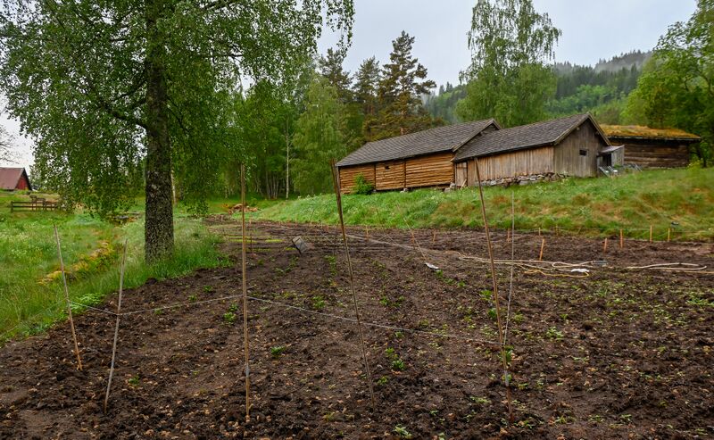 Fil:Fennefoss parsellhage 250525.jpg