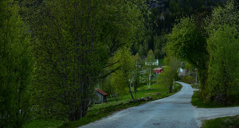 Fil:Lauvdalsvegen 060519.jpg
