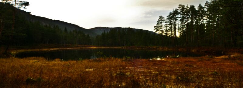 Fil:Igletjønn Hornnes 011115.jpg