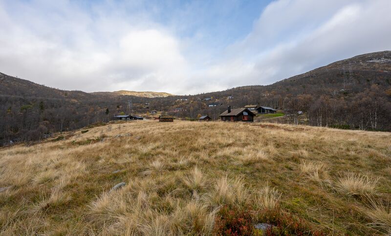Fil:Reinstøyl Bjørnevatn Valle 081025.jpg