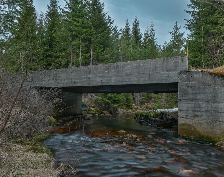 Fil:Lidtveitbrua Åraksbø 110425.jpg