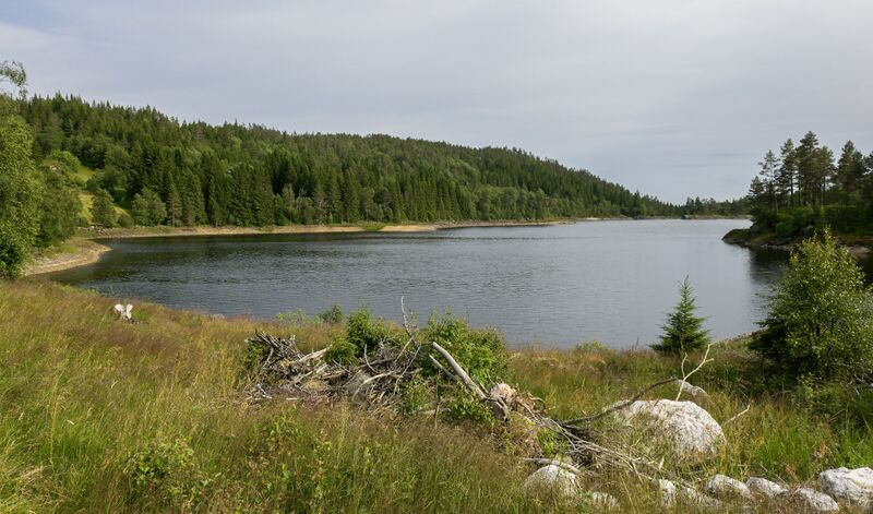 Fil:Grovekilen Vikstølvatnet Evje 060726.jpg