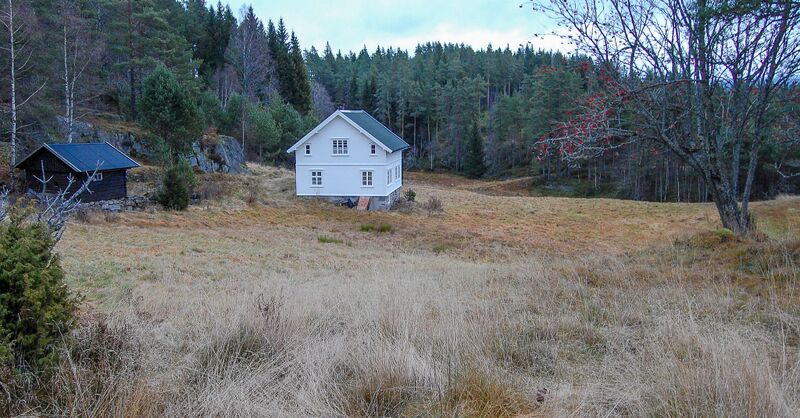Fil:Hasseldalen Hornnes 101109-2.jpg