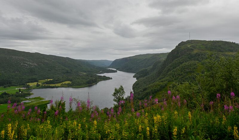 Fil:Ljoslandsvatnet Åseral 250724-2.jpg
