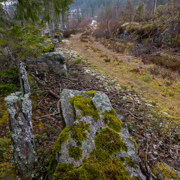 Fil:Fossåna Tromyr setesdalsveg 270324.jpg