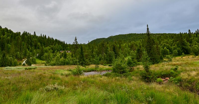 Fil:Hovsdalen Mærstøyl Hylestad 100823-2.jpg