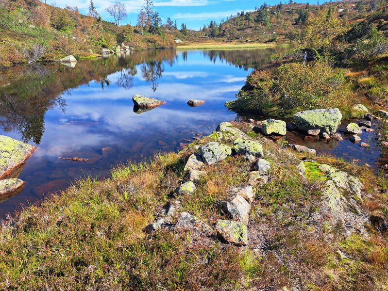 Fil:Likkvile-Osen av Bruletjønne-august 2024.jpg