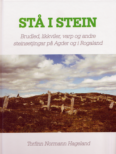 Fil:Stå i stein bokomslag.png