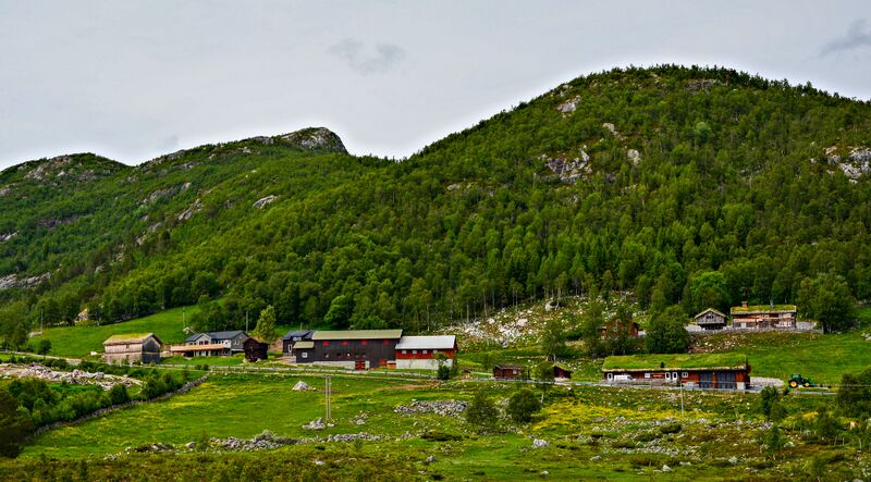 Fil:Fjellgarden Hovden 250616-3.jpg