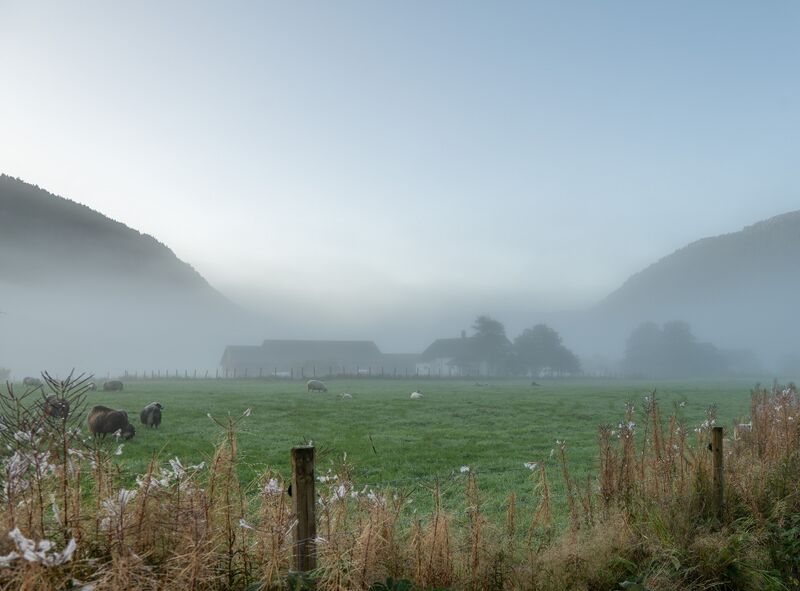 Fil:Nomeland Hylestad 060925-2.jpg