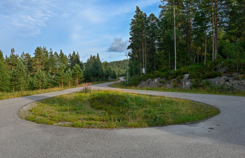 Fil:Tingtjønn veg Iveland 150725.jpg