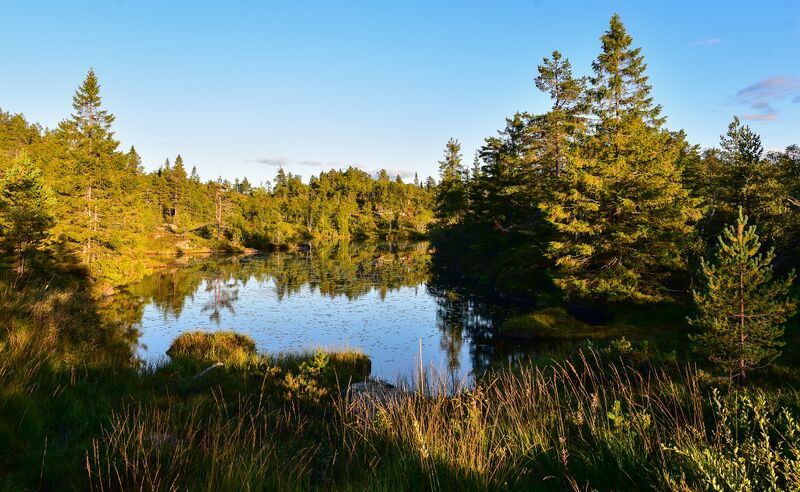 Fil:Tonestjønn Gautestad 250818.jpg