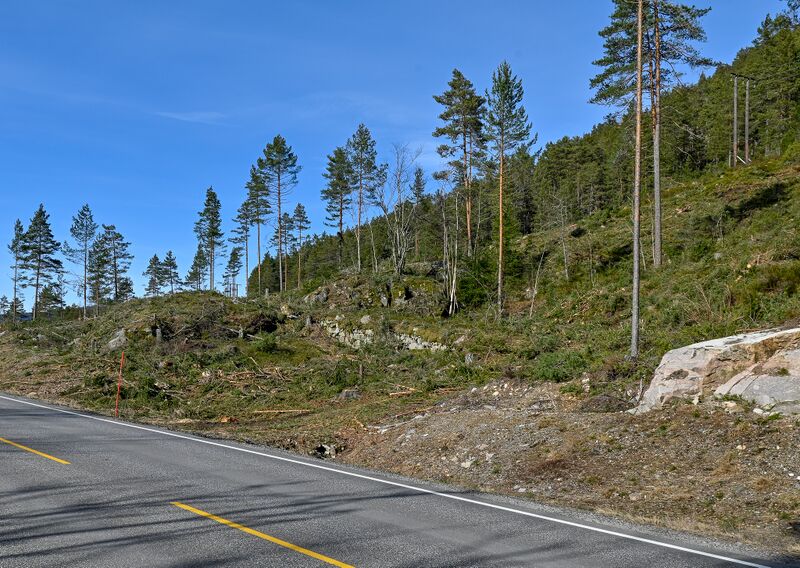Fil:Postvegen Rakkeneskleiva Bygland 170325.jpg