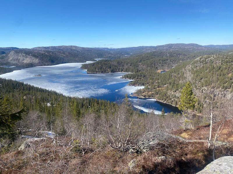 Fil:Topsæ 18 april 25.jpeg