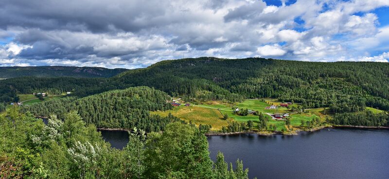 Fil:Øyulvstad Åseral 200817-2.jpg