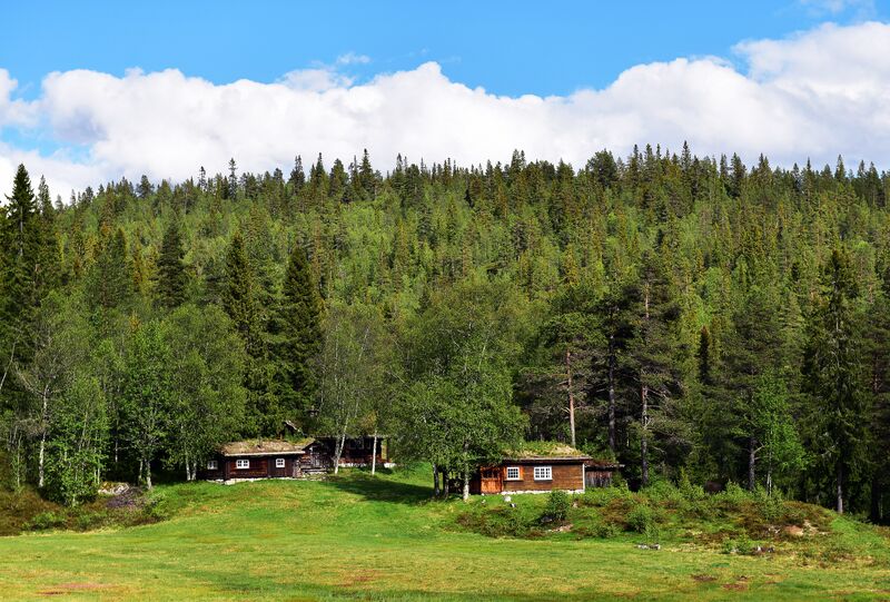 Fil:Nyestøyl Bjørgum 100619 (2).jpg