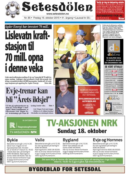 Fil:Setesdølen8515.jpg