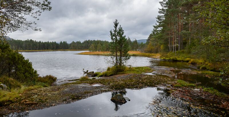 Fil:Tjørekilen Otra Moseid 071024-2.jpg