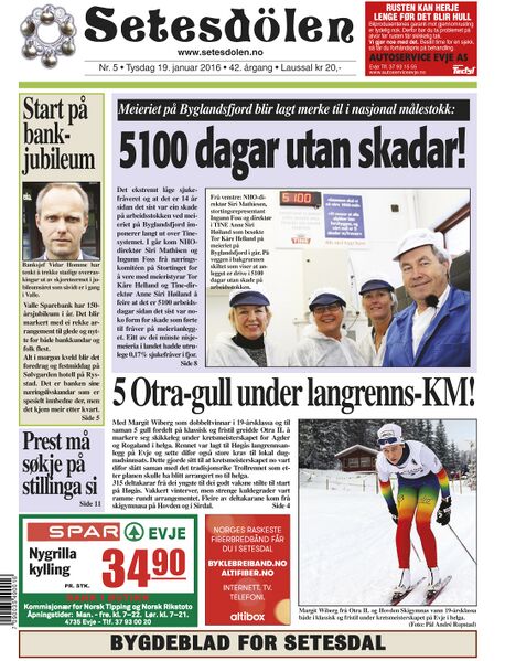 Fil:Setesdølen 516.jpg