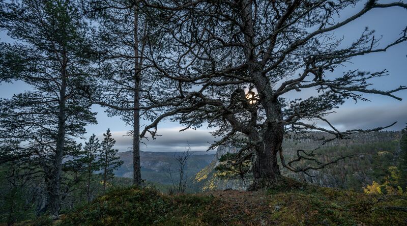 Fil:Veiåjuvet Valle 01025.jpg