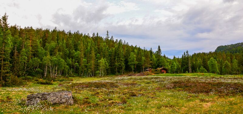 Fil:Øy Bygland 150617.jpg