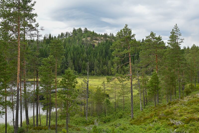 Fil:Igleåsen Tønnesland-Moi 010725.jpg