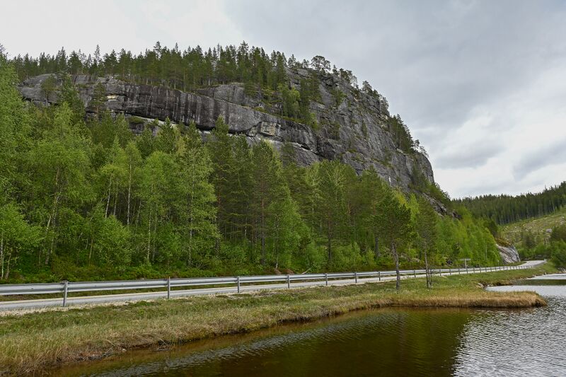 Fil:Nonåsen Trydal 230525-2.jpg