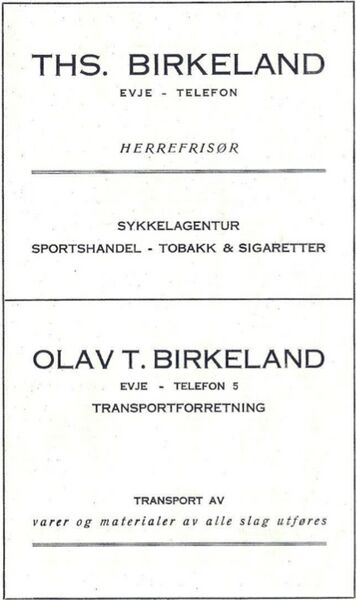 Fil:Ths Birkeland annonse 1942.jpg