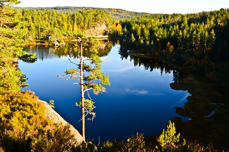 Fil:Pederstjønn Vennesla 021014.jpg