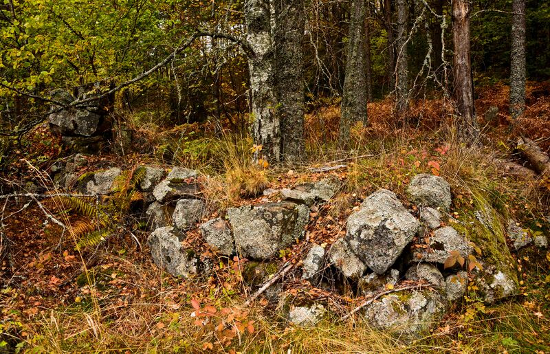 Fil:Apledokk Dale 131016-3.jpg