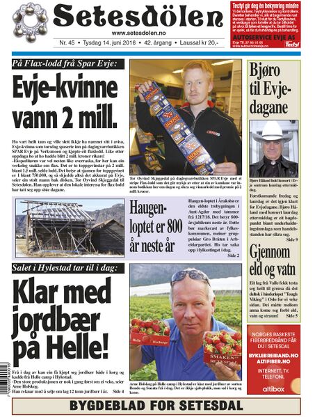 Fil:Setesdølen4516.jpg