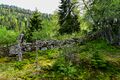 Miniatyrbilete av versjonen frå 15. juni 2022 kl. 08:20