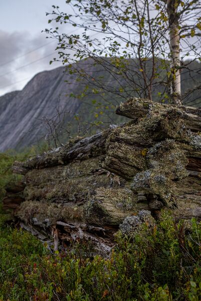 Fil:Fiskårdalen Åseral 080929.jpg