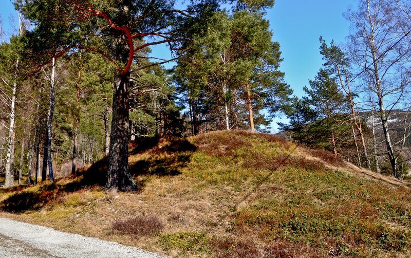 Fil:Kjyrehaug Bygland 020415-3.jpg