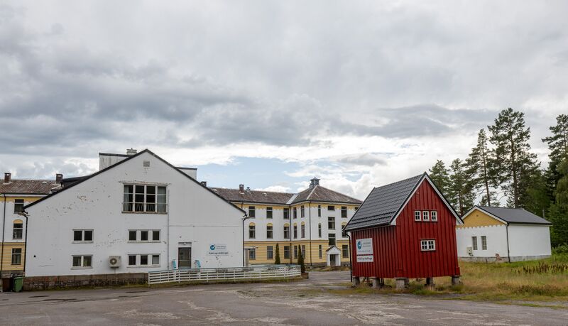 Fil:Landeskogen 290725 (1).jpg
