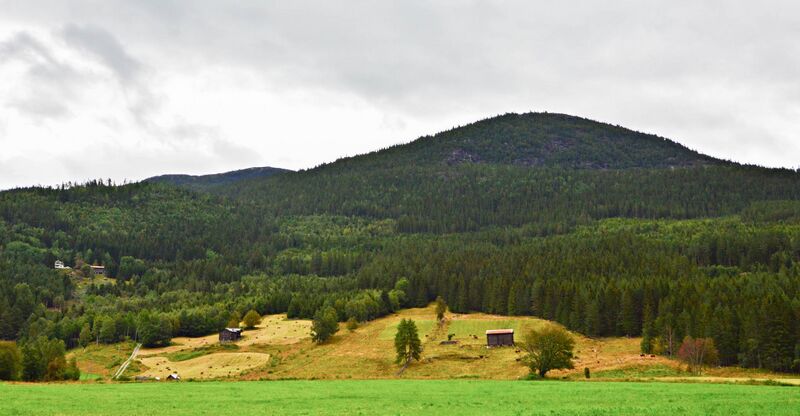 Fil:Flateland 200816 (1)-3.jpg