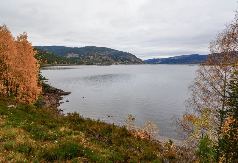 Fil:Kyrkjeviki Årdalsfjorden 201016.jpg
